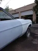mustang2.webp