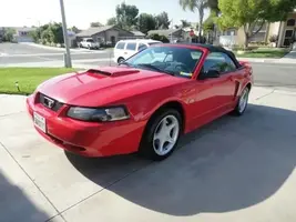mustang.webp