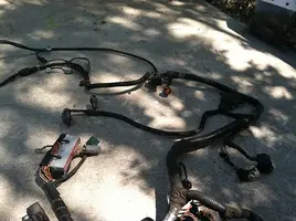 wiring harness.webp