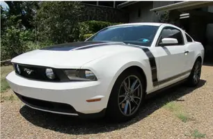 mustang pic.webp