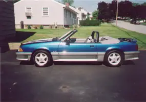 Mustang.webp