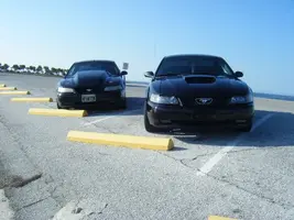 2242364274_1ff370c4cd_o.webp