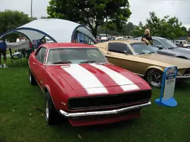 TuginthePark20084.webp
