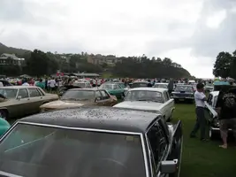 TuginthePark200833.webp
