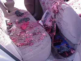 deer_vs_car_4.webp