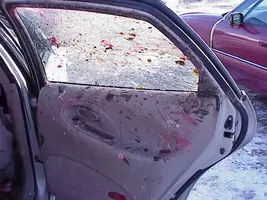 deer_vs_car_3.webp