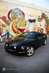 2238163000_b2ba2eceac.webp