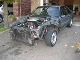 IMG_2683.webp
