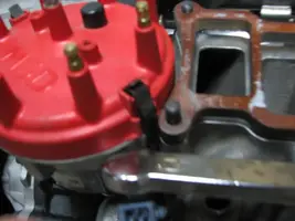 adammotor078.webp