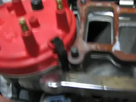 adammotor080.webp
