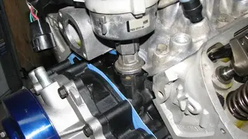 adammotor061.webp