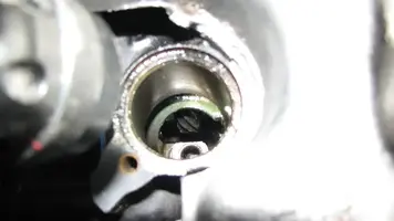 adammotor040.webp