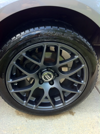 Back Rim.webp
