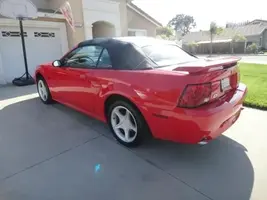 mustang1.webp