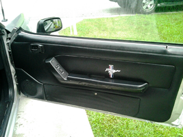 door panel.webp