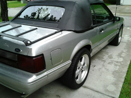 side view.webp