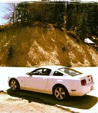 photo(3).webp