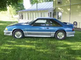 mustang edit b.webp