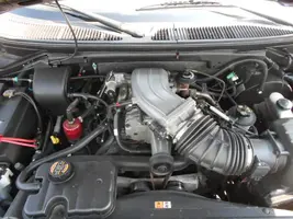DSCN3379.webp