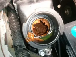 orange sludge in rad.webp