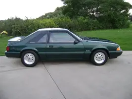 stang1.webp