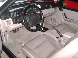 stang3.webp