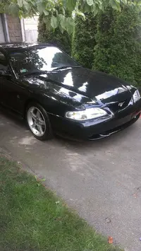 IMAG0002.webp