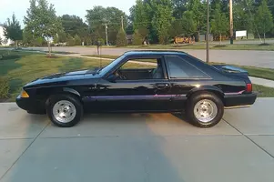 Mustang Side resized.webp