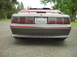 Picture20.webp