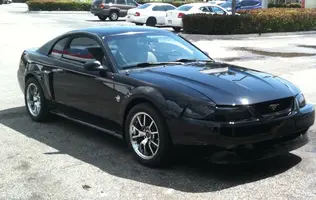 stang.webp