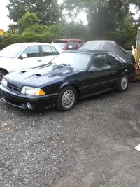 gt.webp