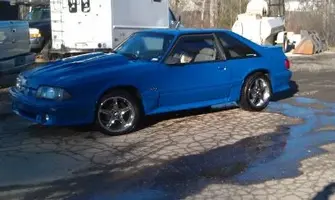 mustang.webp