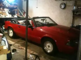 mustang.webp