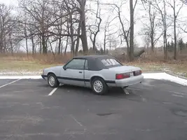 88mustang1-27-08006.webp