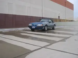 88mustang1-27-08009.webp