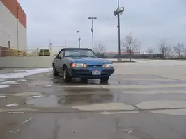 88mustang1-27-08010.webp