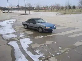 88mustang1-27-08011.webp