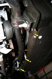 2223437059_ac579ec86d.webp
