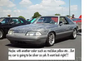 68705228df6.webp