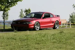 T6C0050.webp