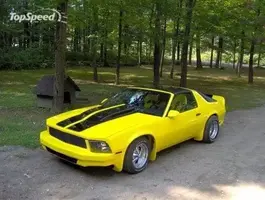 mustang_camaro_1_fw.webp