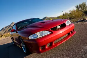 stang1.webp