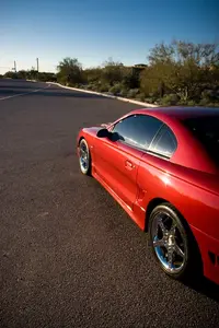 stang2.webp