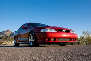 stang3.webp