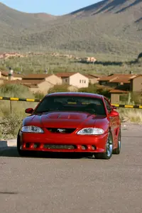 stang4.webp