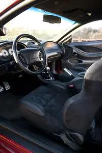 stang5.webp
