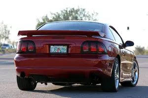 stang6.webp