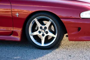 stang7.webp