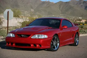 stang8.webp