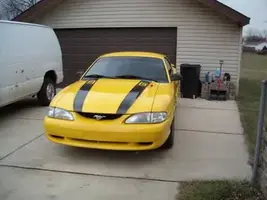 Picture003.webp